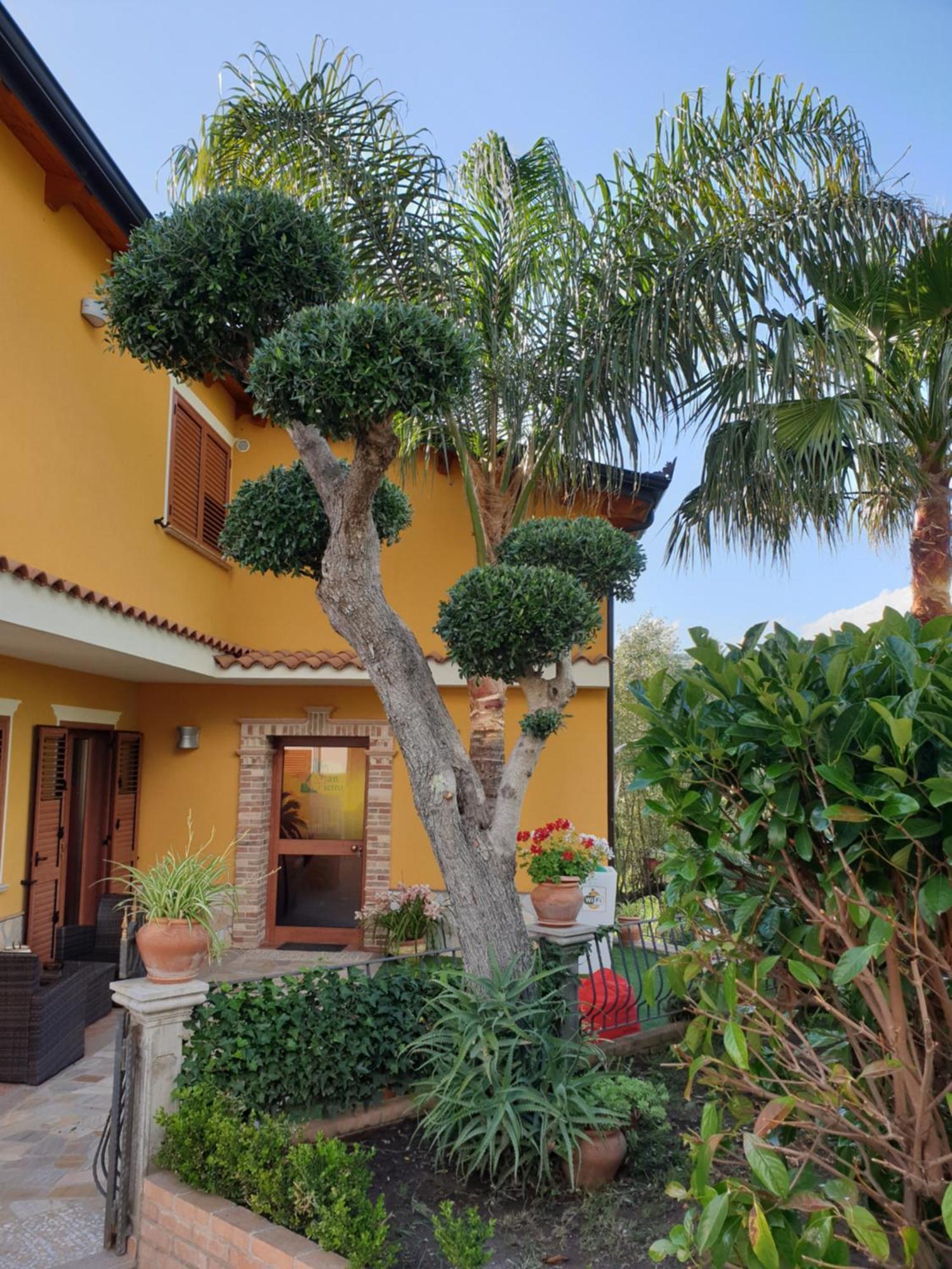 San Pietro Bed & Breakfast Mileto Екстериор снимка